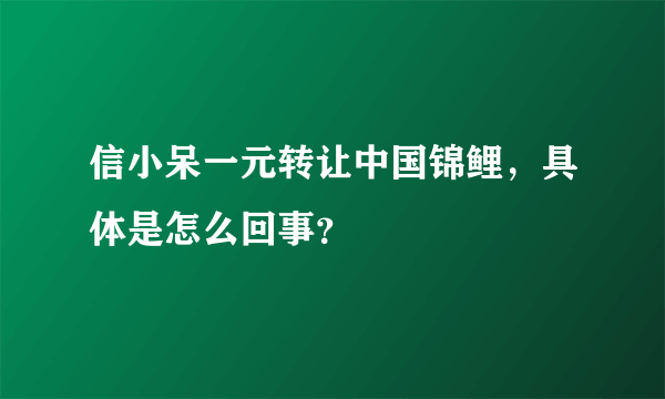 信小呆一元转让中国锦鲤，具体是怎么回事？