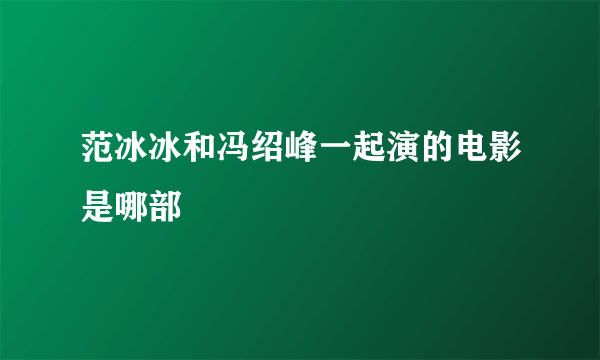 范冰冰和冯绍峰一起演的电影是哪部