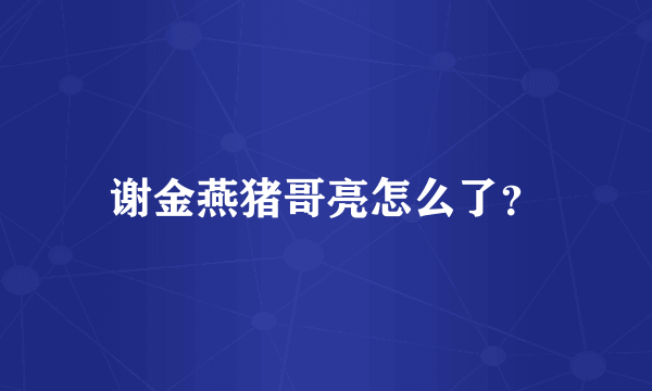 谢金燕猪哥亮怎么了？