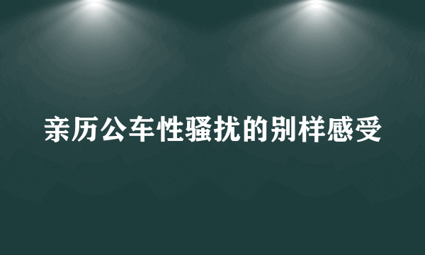 亲历公车性骚扰的别样感受