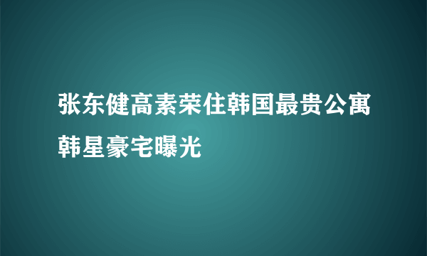 张东健高素荣住韩国最贵公寓韩星豪宅曝光