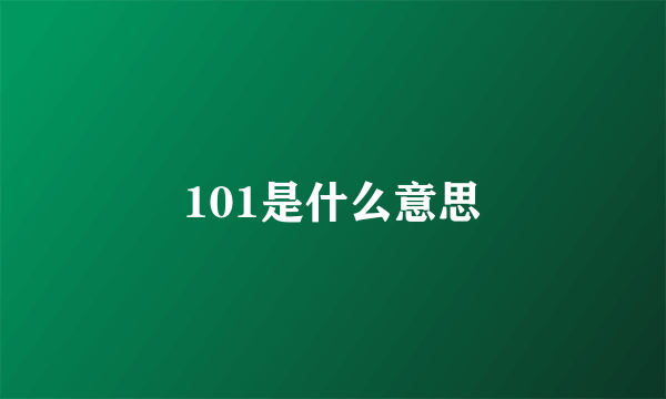 101是什么意思