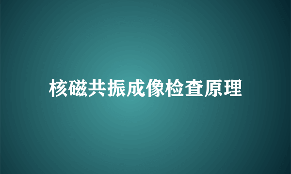 核磁共振成像检查原理