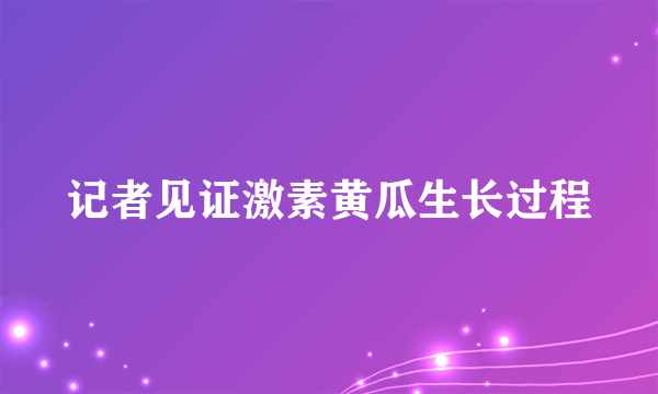 记者见证激素黄瓜生长过程