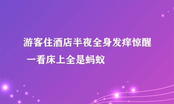 游客住酒店半夜全身发痒惊醒 一看床上全是蚂蚁