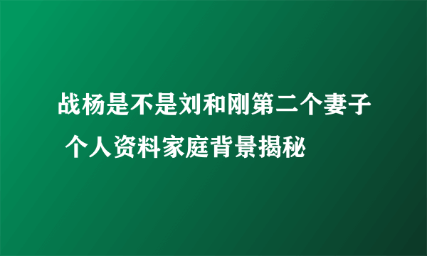 战杨是不是刘和刚第二个妻子 个人资料家庭背景揭秘