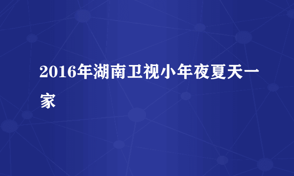 2016年湖南卫视小年夜夏天一家