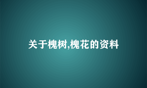 关于槐树,槐花的资料