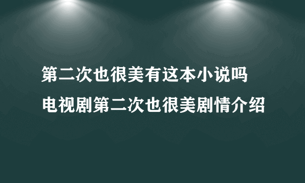 第二次也很美有这本小说吗 电视剧第二次也很美剧情介绍