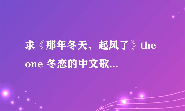 求《那年冬天，起风了》the one 冬恋的中文歌词！多谢！！