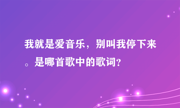 我就是爱音乐，别叫我停下来。是哪首歌中的歌词？