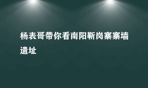 杨表哥带你看南阳靳岗寨寨墙遗址