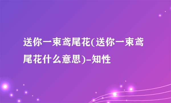 送你一束鸢尾花(送你一束鸢尾花什么意思)-知性