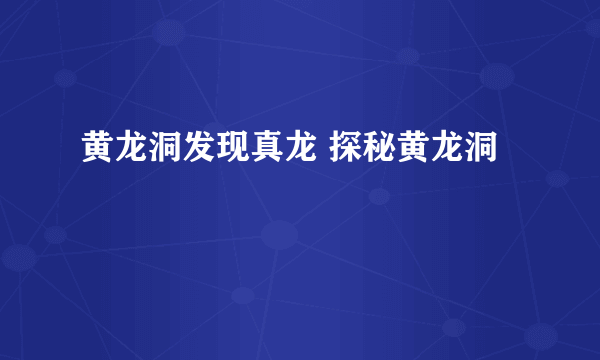 黄龙洞发现真龙 探秘黄龙洞