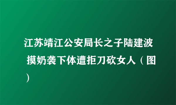 江苏靖江公安局长之子陆建波 摸奶袭下体遭拒刀砍女人（图）