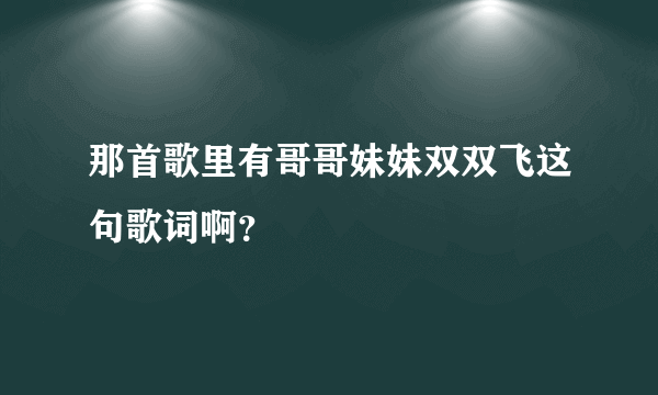 那首歌里有哥哥妹妹双双飞这句歌词啊？