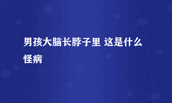 男孩大脑长脖子里 这是什么怪病