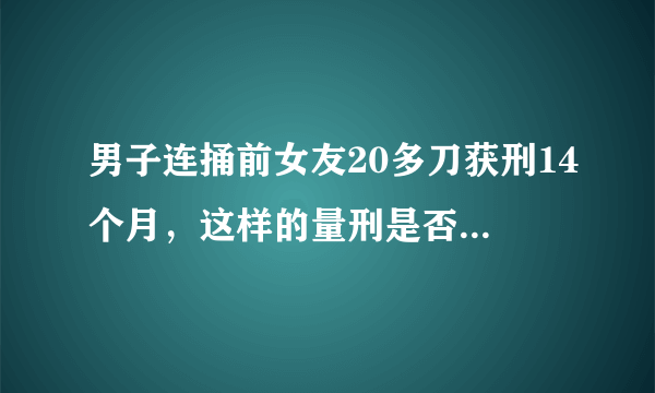 男子连捅前女友20多刀获刑14个月，这样的量刑是否太轻了？