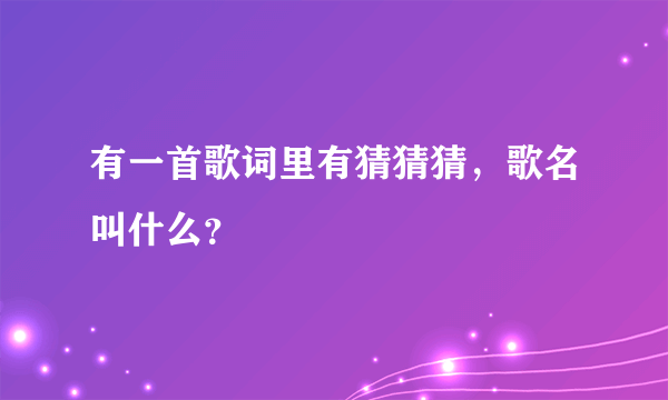 有一首歌词里有猜猜猜，歌名叫什么？