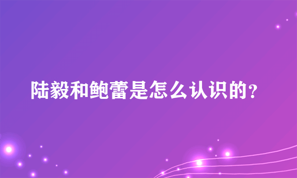 陆毅和鲍蕾是怎么认识的？