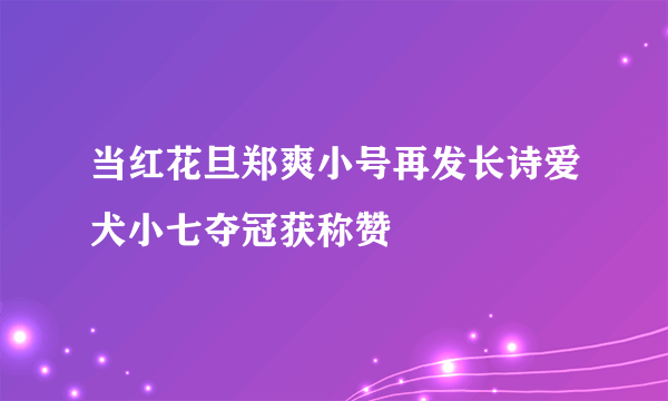 当红花旦郑爽小号再发长诗爱犬小七夺冠获称赞