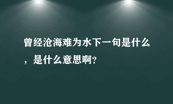 曾经沧海难为水下一句是什么，是什么意思啊？