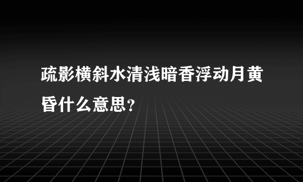 疏影横斜水清浅暗香浮动月黄昏什么意思？