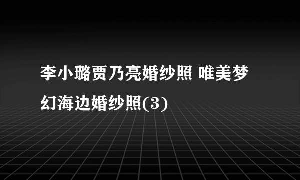 李小璐贾乃亮婚纱照 唯美梦幻海边婚纱照(3)