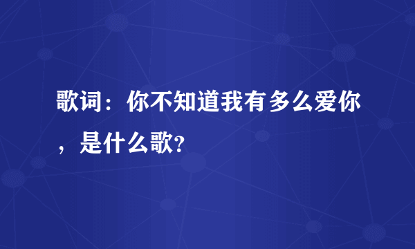 歌词：你不知道我有多么爱你，是什么歌？