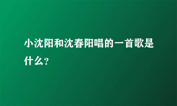 小沈阳和沈春阳唱的一首歌是什么？