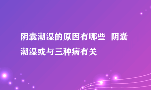 阴囊潮湿的原因有哪些  阴囊潮湿或与三种病有关