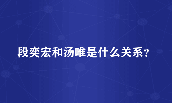 段奕宏和汤唯是什么关系？