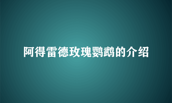 阿得雷德玫瑰鹦鹉的介绍