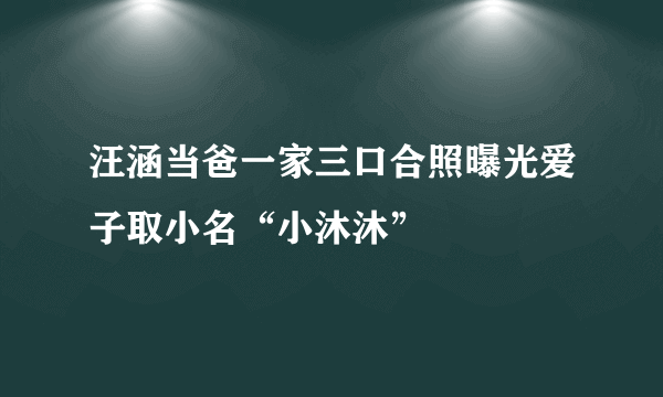 汪涵当爸一家三口合照曝光爱子取小名“小沐沐”