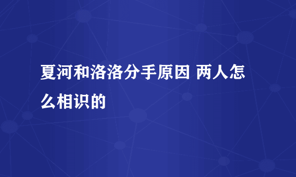 夏河和洛洛分手原因 两人怎么相识的