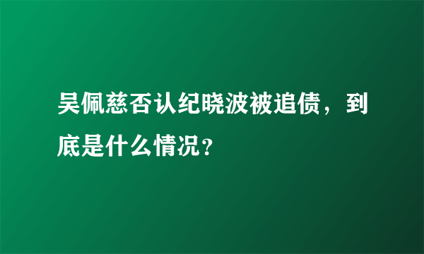 吴佩慈否认纪晓波被追债，到底是什么情况？