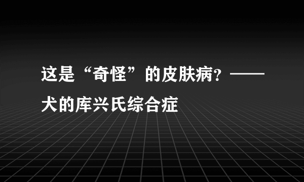 这是“奇怪”的皮肤病？——犬的库兴氏综合症