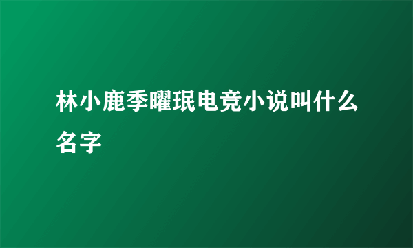 林小鹿季曜珉电竞小说叫什么名字