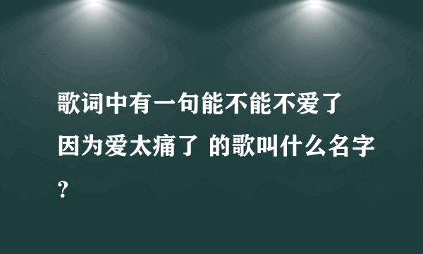 歌词中有一句能不能不爱了 因为爱太痛了 的歌叫什么名字？