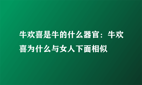 牛欢喜是牛的什么器官：牛欢喜为什么与女人下面相似