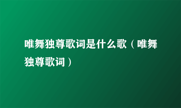 唯舞独尊歌词是什么歌（唯舞独尊歌词）