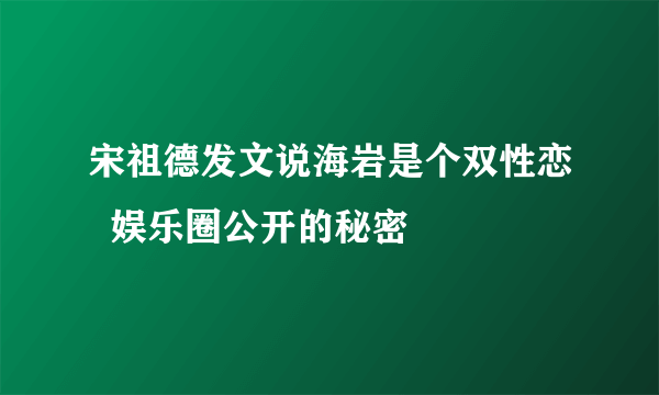 宋祖德发文说海岩是个双性恋  娱乐圈公开的秘密