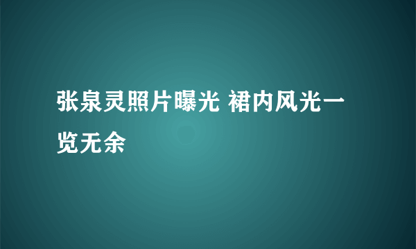 张泉灵照片曝光 裙内风光一览无余