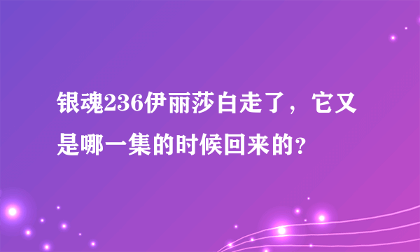 银魂236伊丽莎白走了，它又是哪一集的时候回来的？