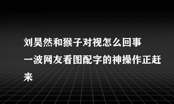 刘昊然和猴子对视怎么回事 一波网友看图配字的神操作正赶来