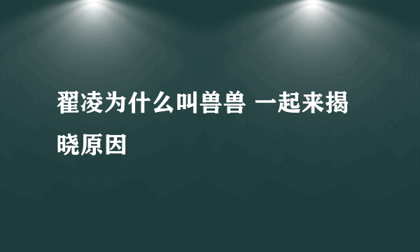 翟凌为什么叫兽兽 一起来揭晓原因