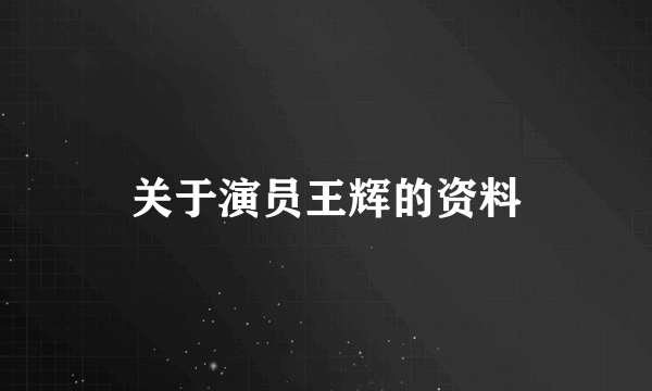 关于演员王辉的资料