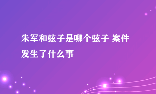 朱军和弦子是哪个弦子 案件发生了什么事