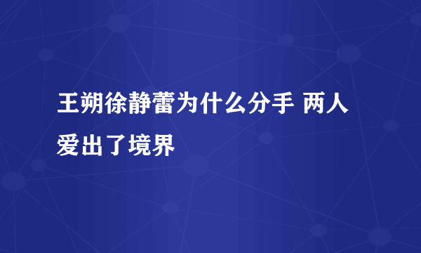 王朔徐静蕾为什么分手 两人爱出了境界