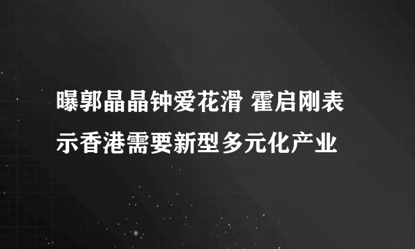 曝郭晶晶钟爱花滑 霍启刚表示香港需要新型多元化产业